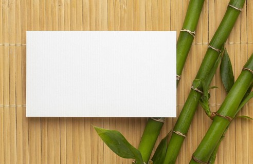 Modern copy space white business card bamboo