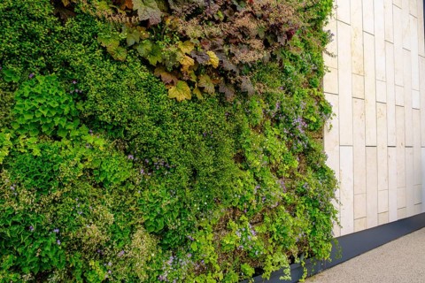 Living green walls