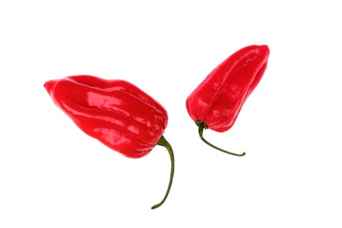 Fresh habanero pepper isolated on white background