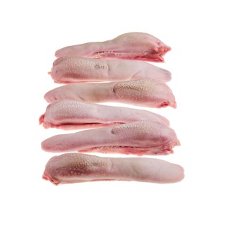 Fresh raw lamb tongue isolated on white background