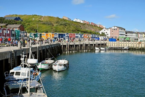 Lobster stalls at the inland harbour