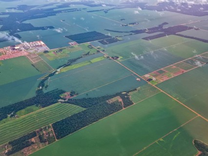 Aerial of the giant soy fields around Sinop