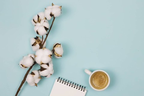 Overhead view cotton flower spiral notepad coffee cup blue background