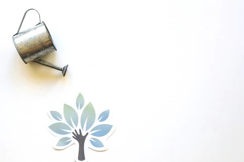 Watering pot paper tree. Resolution and high quality beautiful photo