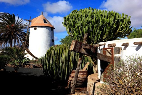 Museo Agricola El Patio in Tiagua