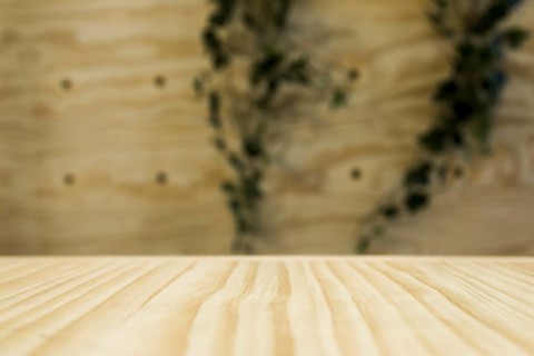 Wood texture. Resolution and high quality beautiful photo