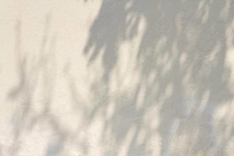 Copy space white concrete wall with shadows