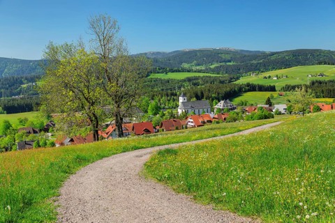 View over Breitnau to the Feldberg in spring