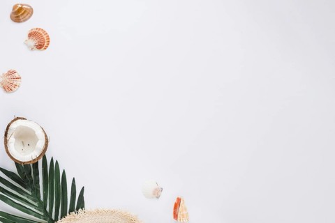 Sea shells with green leaf coconut