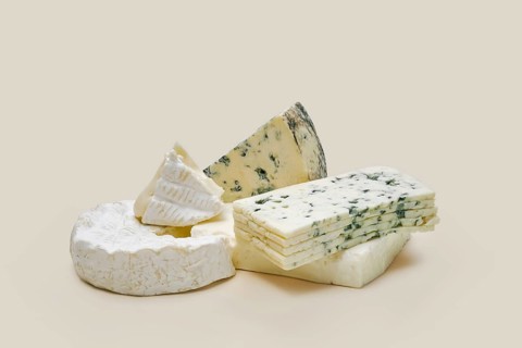 Various types of blue mold cheese