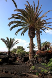 Installations at the Geological Museum in Jameos del Agua