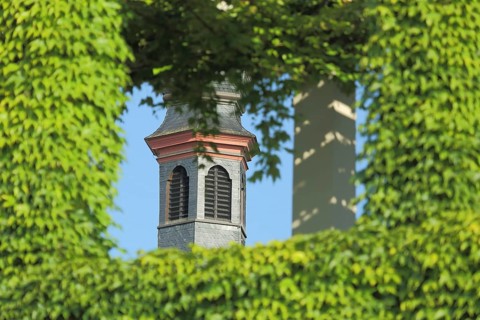 View through overgrown wall with vines and church tower of St. Peter and Paul