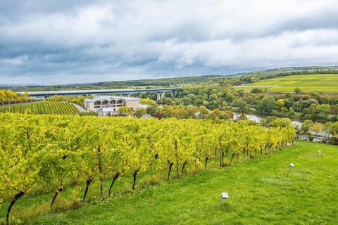 View over the vineyards of the Moselle from Schengen
