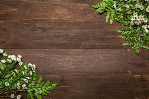 Bunches chamomiles wooden table