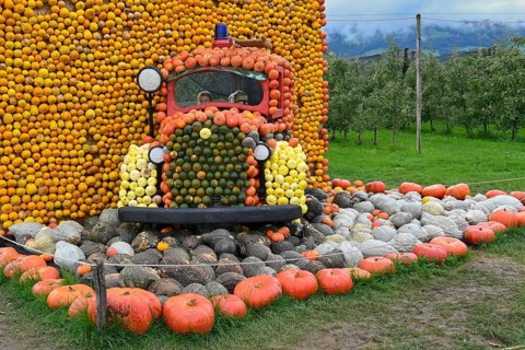 Figure Fire Truck Pumpkins