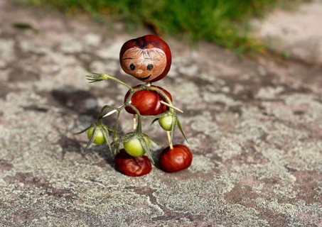 Cute chestnut figure with small tomatoes on wall
