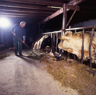 Small farmers in agriculture