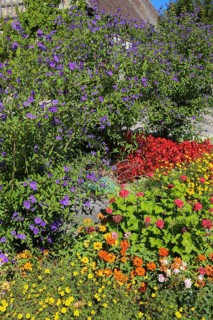 Flowerbed on the main road