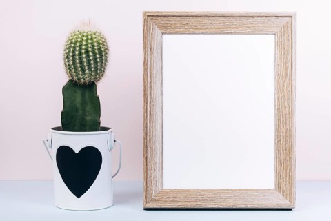 Blank photo frame succulent plant with heartshape pot