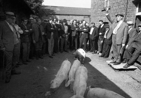 The auction of a bankrupt farm on 22. 09. 1971 in Greven in Muensterland