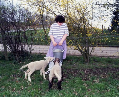 Small farmers in agriculture
