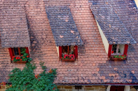Roof of the Old Forge