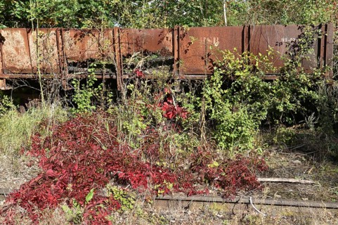 Harzer Schmalspurbahn goods wagon on a siding