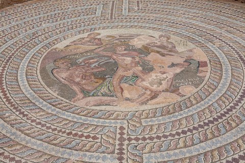 Floor mosaic