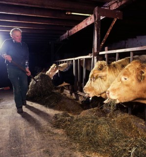 Small farmers in agriculture