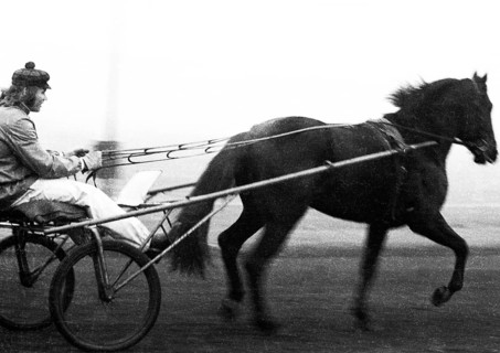 Norbert Nigbur