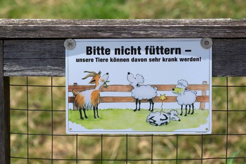 Sign for feeding ban in front of a goat and sheep meadow