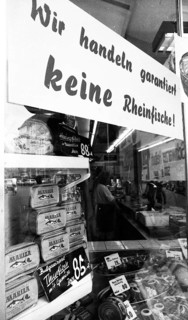 The poison accident on the Rhine