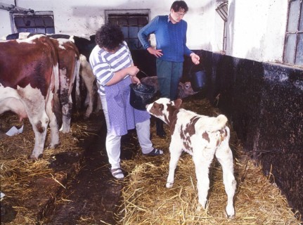 Small farmers in agriculture