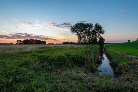 Sunrise in the Westhavelland nature park Park