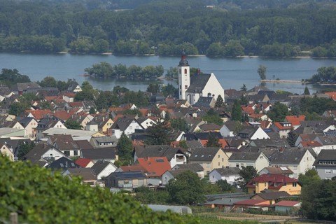 View of Winkel with St. Walburga Church and Rhine