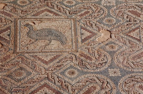 Floor mosaic