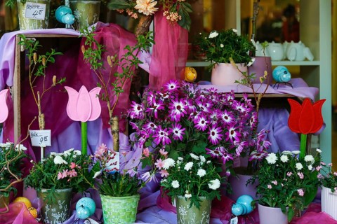 Flower shop in shopping street