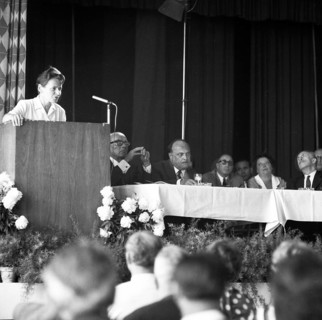 Members and supporters of the German Peace Union