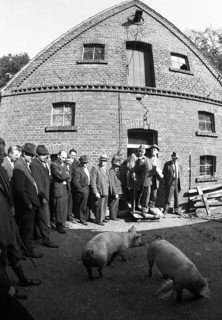 The auction of a bankrupt farm on 22. 09. 1971 in Greven in Muensterland