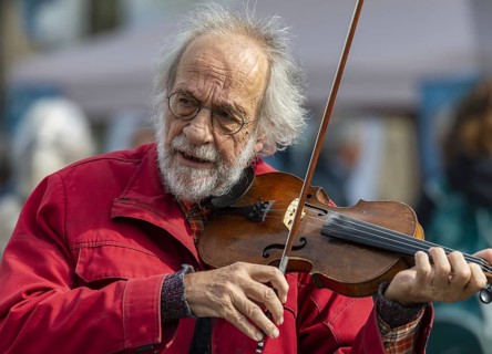 Klaus der Geiger