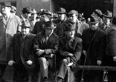 The auction of a farm on 2. 3. 1972 in the Muensterland in Ascheberg with all inventory and livestock