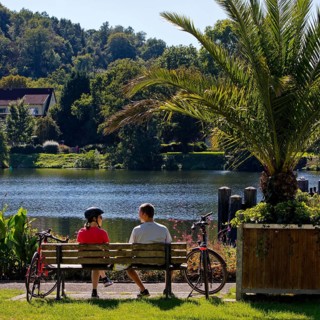 Cyclist on the Ruhr Valley Cycle Path with palm trees
