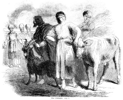 The sin offering