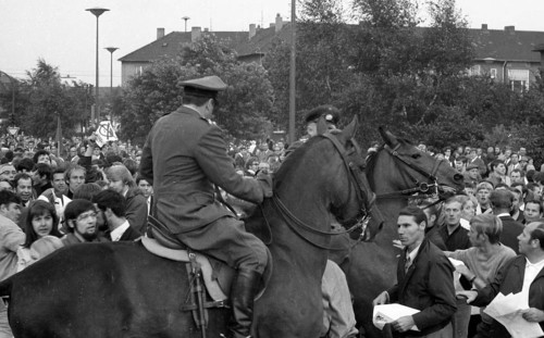 During the 1969 federal election campaign