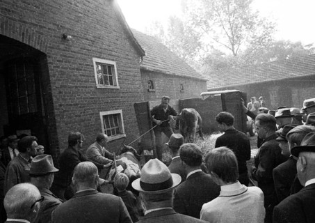 The auction of a bankrupt farm on 22. 09. 1971 in Greven in Muensterland