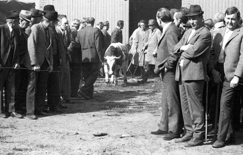 The auction of a bankrupt farm on 22. 09. 1971 in Greven in Muensterland
