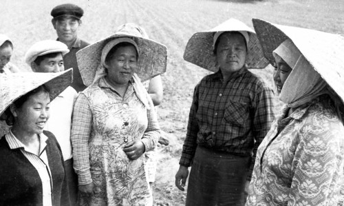 Impressions from the USSR 1972. farm workers