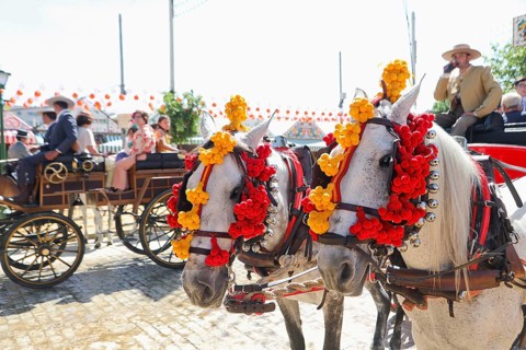 Horse-drawn carriages