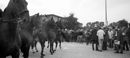 During the 1969 federal election campaign