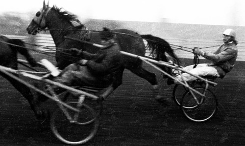 Norbert Nigbur